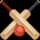 Virtual Cricket